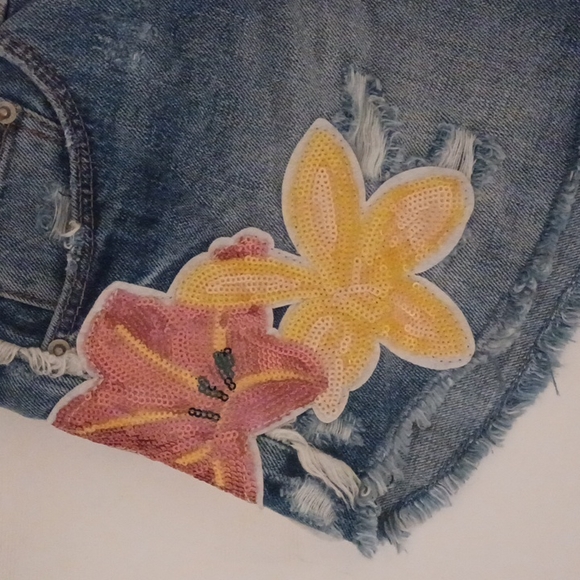 Zara Highwaisted Denim Shorts - Picture 2 of 6